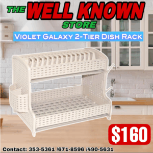 2 Tier Plastic Dish Rack With Cup & Spoon Holder