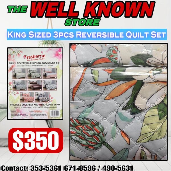 King size Reversible 3pc Quilt set Rasberrie - Image 4