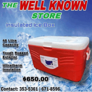 Artic 40ltr cooler