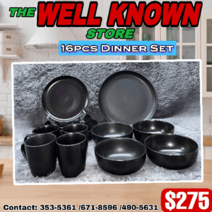 16pcs Dinner Set