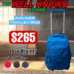 Airliner trolly bag small 66845t