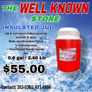 Artic 2.4ltr cooler
