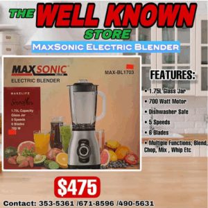 MaxSonic Blender