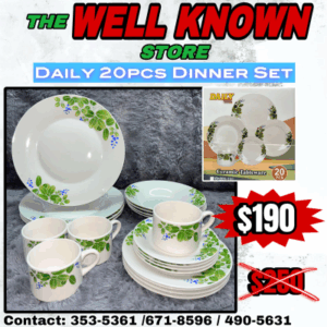 20pcs Dinner Set Daily