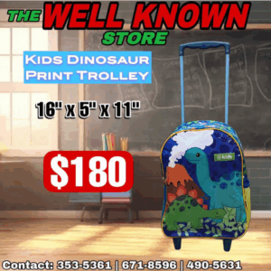 Kids Airliner trolly