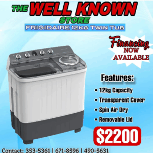 Frigidaire 12kg Twin tub