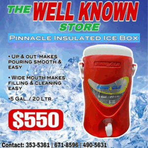 Pinnacle 20 Ltr water cooler