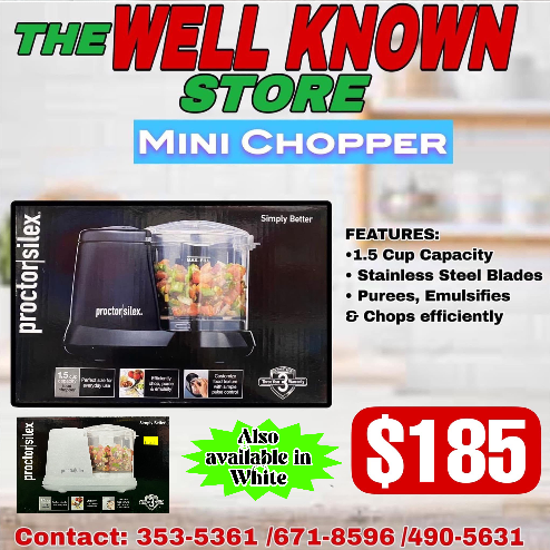 Proctor Silex Mini Chopper
