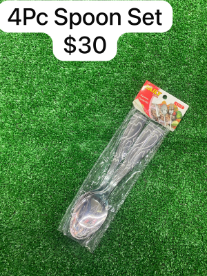 Daily 4pc spoon set