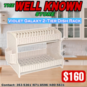 2 Tier Plastic Dish Rack With Cup & Spoon Holder