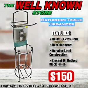 toilet paper holder metallic