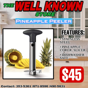 Pineapple slicer