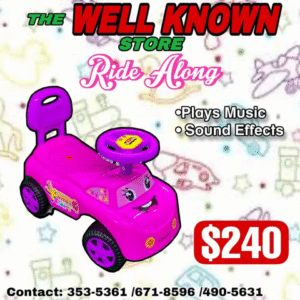 Ride Along Mega Car Purple