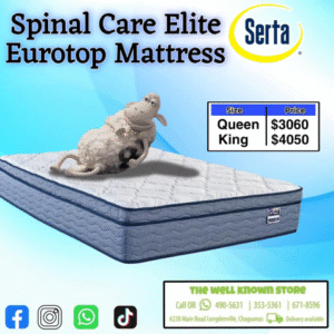 2243 Q- Serta Spinal Care Elite Eurotop Queen Size Mattress 12"