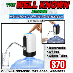 Automatic water dispenser
