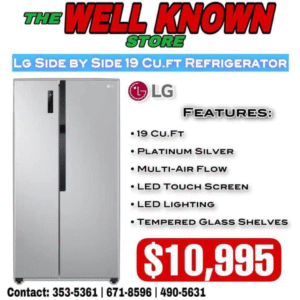 LG 19CuFt Side x Side