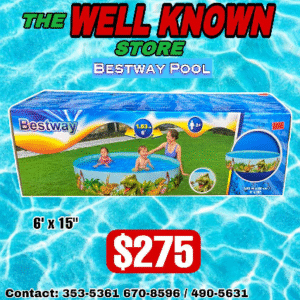 Bestway Dinosaur Pool 6' × 15"