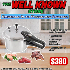 Emerald 9ltr pressure cooker
