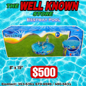 Bestway Dolphin Pool 8' × 18"