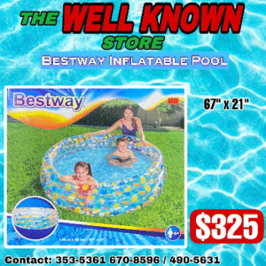 Bestway Pool 67" ×21" Inflatable