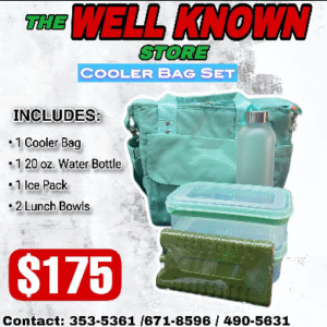 Insulated cooler bag w. Bowls,bottles, icepack