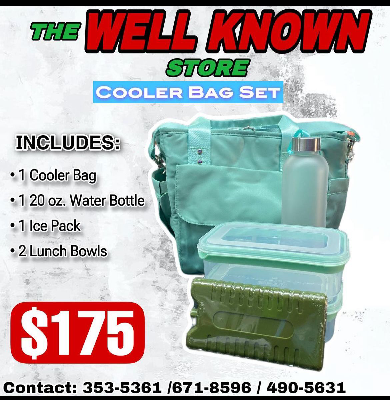 Insulated cooler bag w. Bowls,bottles, icepack