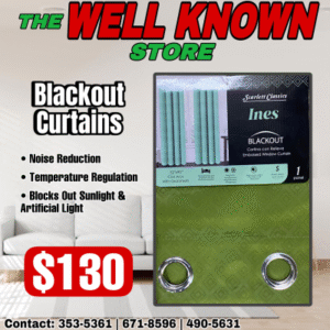Blackout curtains Ines Green Sc