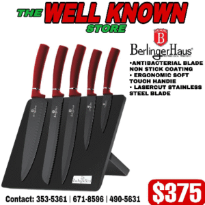 Berlinger Haus 6pc red with magnetic stand