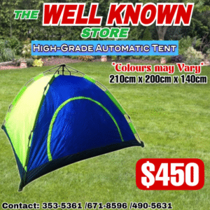 Automatic tent