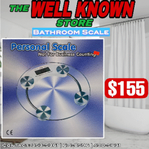 Personal bathroom scale