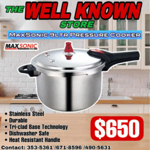 Maxsonic 9L pressure cooker