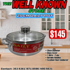 Daily 20cm glass cover pot