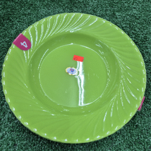 4pc 9" Plastic Plate