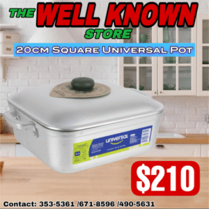 20cm Square Universal Pot