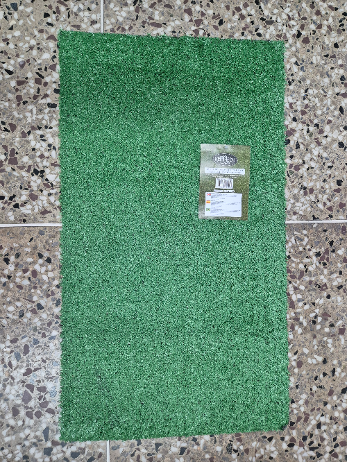 PASTO 44X78 Grass Mat