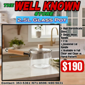 2.5L Glass Pot With Handle