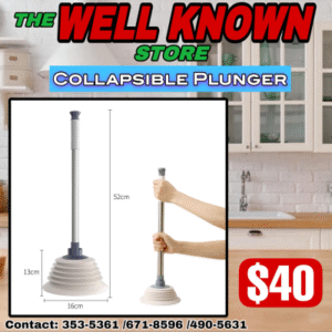 Toilet Plunger