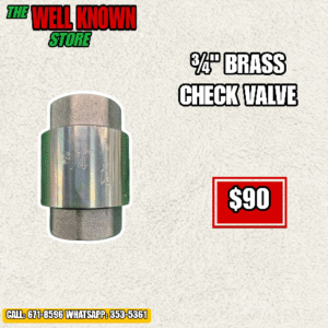 Brass core 3/4"  check valve