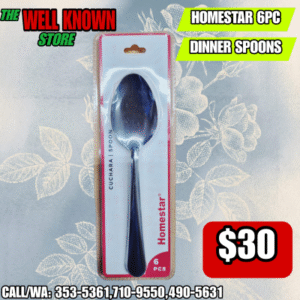 Homestar Spoon 6PC