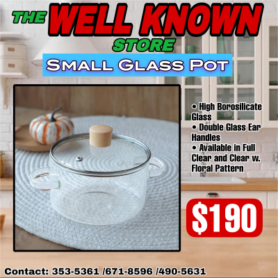 Glass Pot